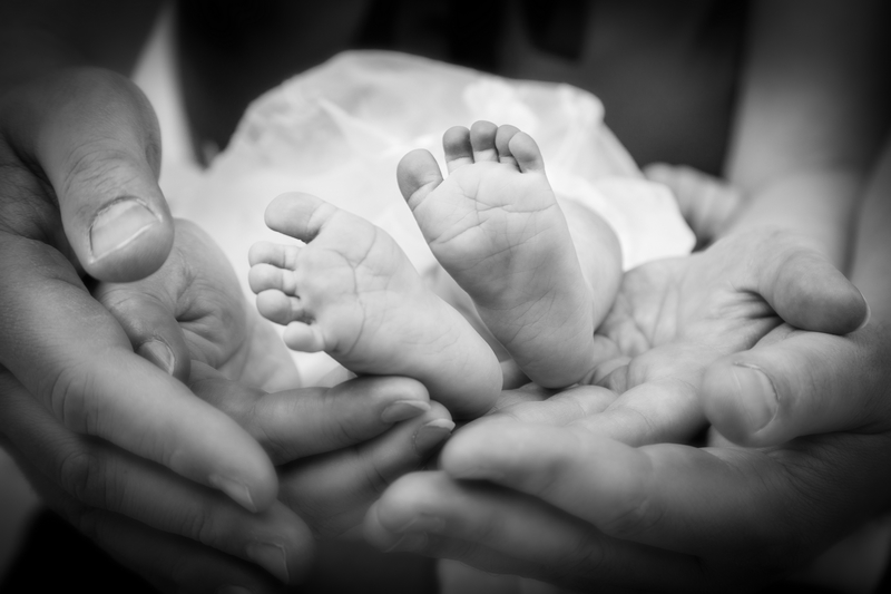 Img 1761 %d0%be%d0%b1%d1%802